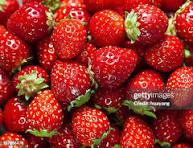 Fruits