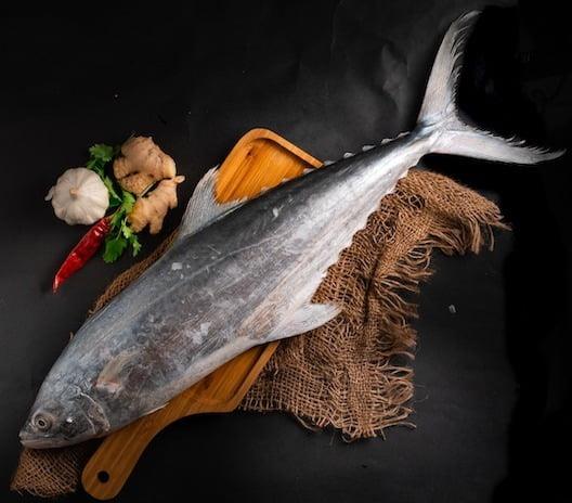 FRESH FISH