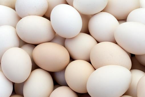 EGGS