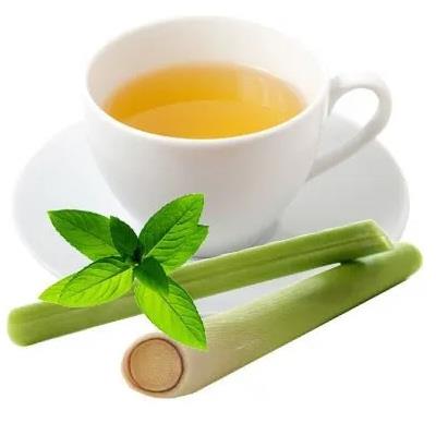 LEMON GRASS TEA REGULAR