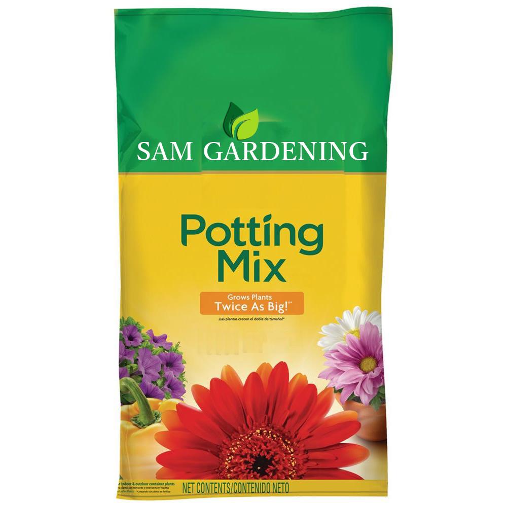 potting soil