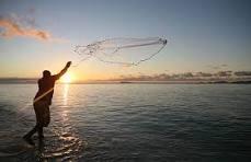 fishing net