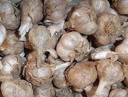 NATTU POONDU GARLIC