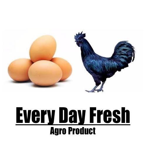 Ultra-Nutritious Kadaknath Eggs with 18 Essential Amino Acids–100% Organic- 30% Less Cholesterol